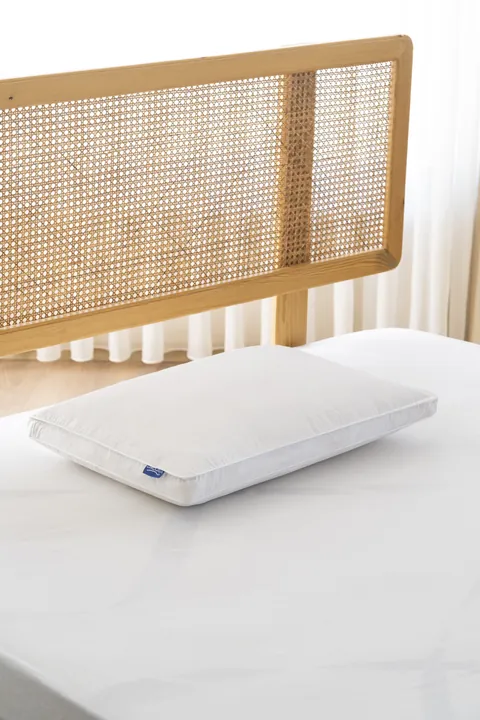 Goose Feather Ergonomic Visco Pillow