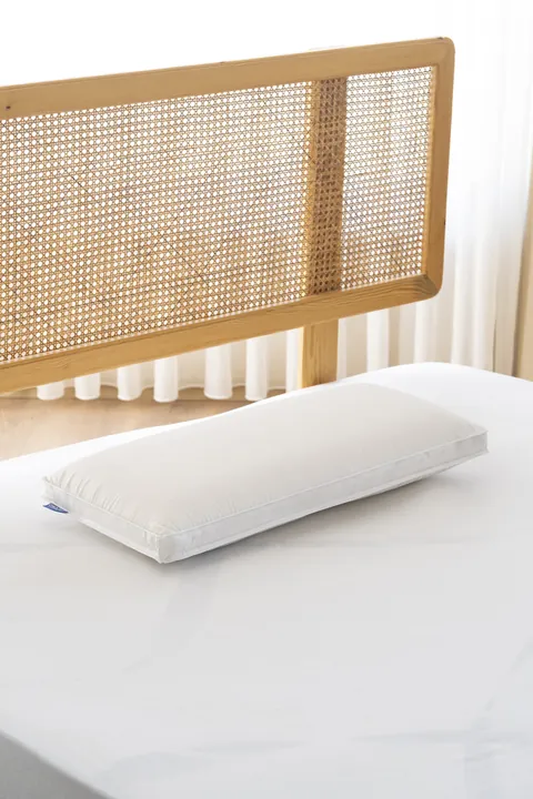 Goose Feather Ergonomic Visco Pillow
