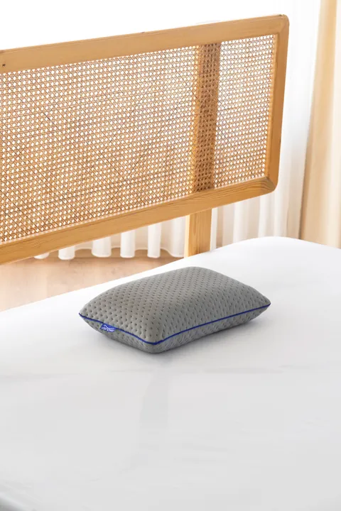 Travel Ergonomic Visco Pillow