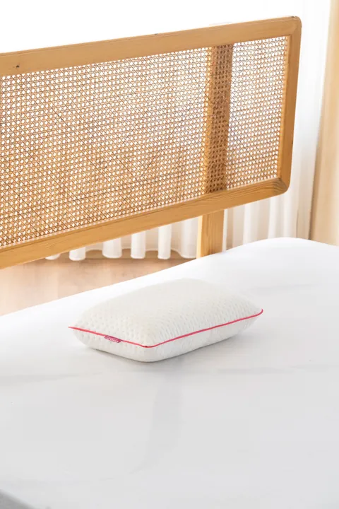 Travel Ergonomic Visco Pillow