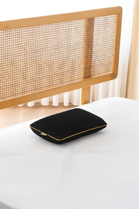 Travel Ergonomic Visco Pillow
