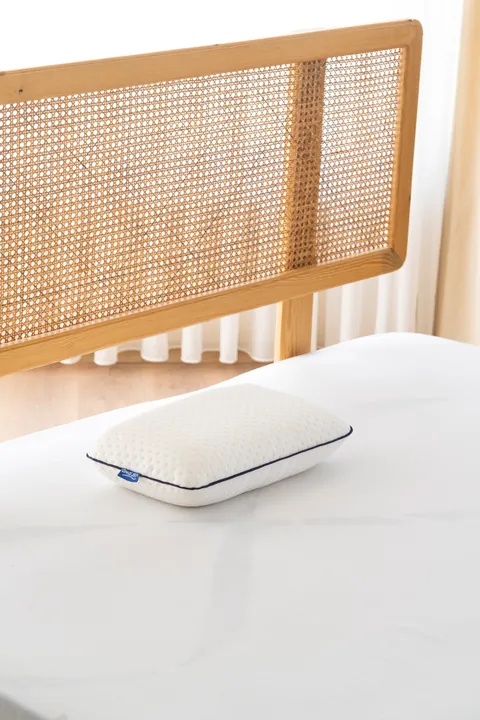 Travel Ergonomic Visco Pillow